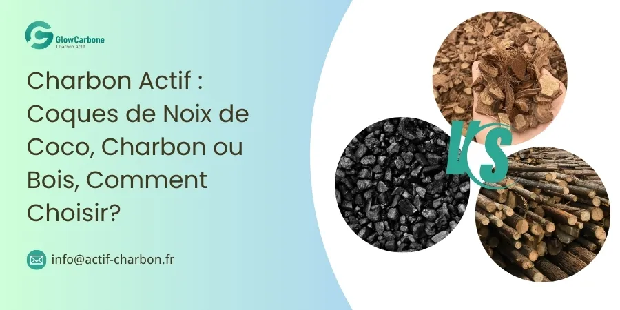 Charbon-Actif-Coques-de-Noix-de-Coco-vs-Charbon-vs-Bois