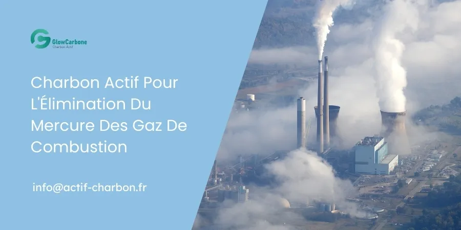 Charbon Actif Pour L'Élimination Du Mercure Des Gaz De Combustion