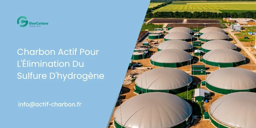 Charbon Actif Pour L'Élimination Du Sulfure D'hydrogène