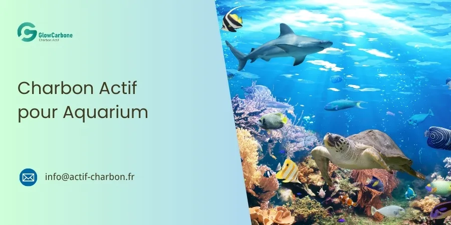 Charbon-Actif-pour-Aquarium