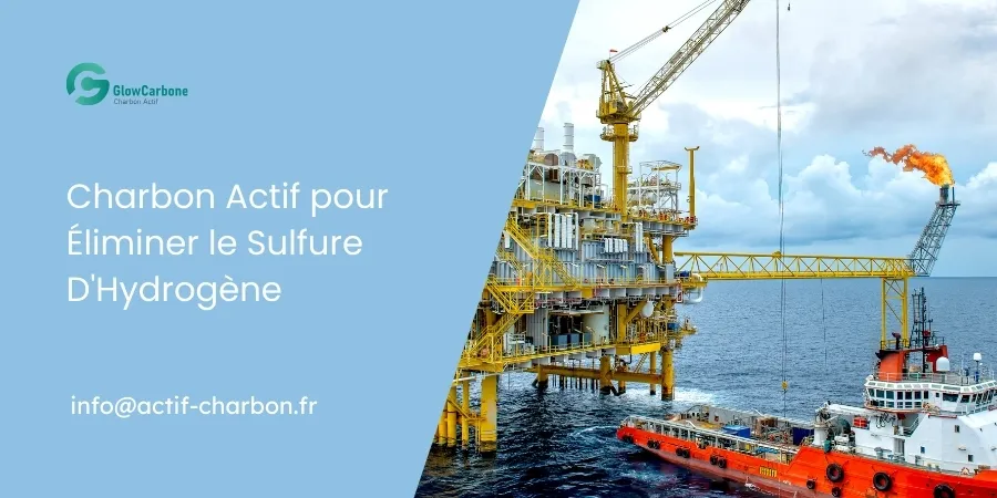 Charbon Actif pour Éliminer le Sulfure D'Hydrogène
