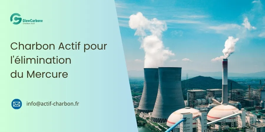 Charbon-Actif-pour-l'élimination-du-Mercure