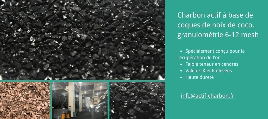info@actif-charbon.fr
Adresse: 10 Rue des Étudiants, Lyon, France