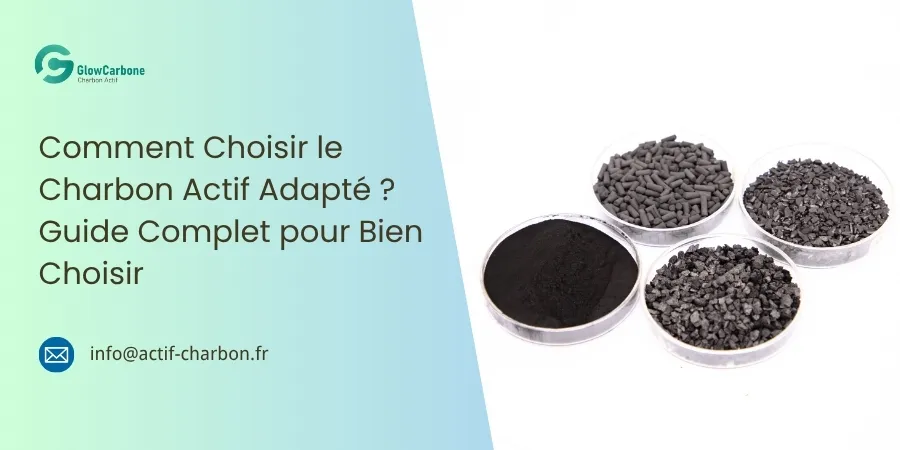 Comment Choisir le Charbon Actif Adapté Guide Complet pour Bien Choisir