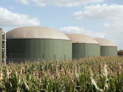 Epuration du biogaz